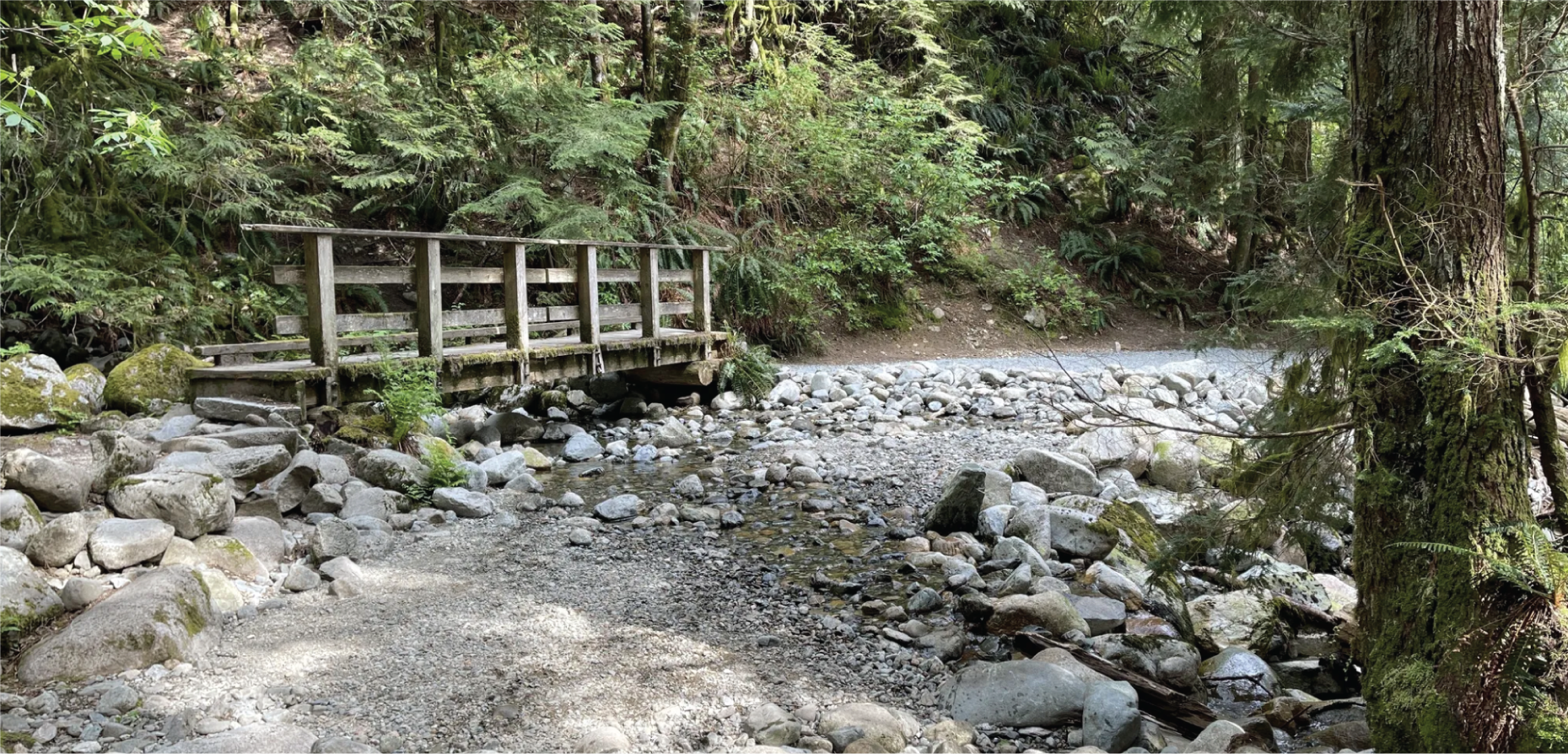 Brother's Creek Loop