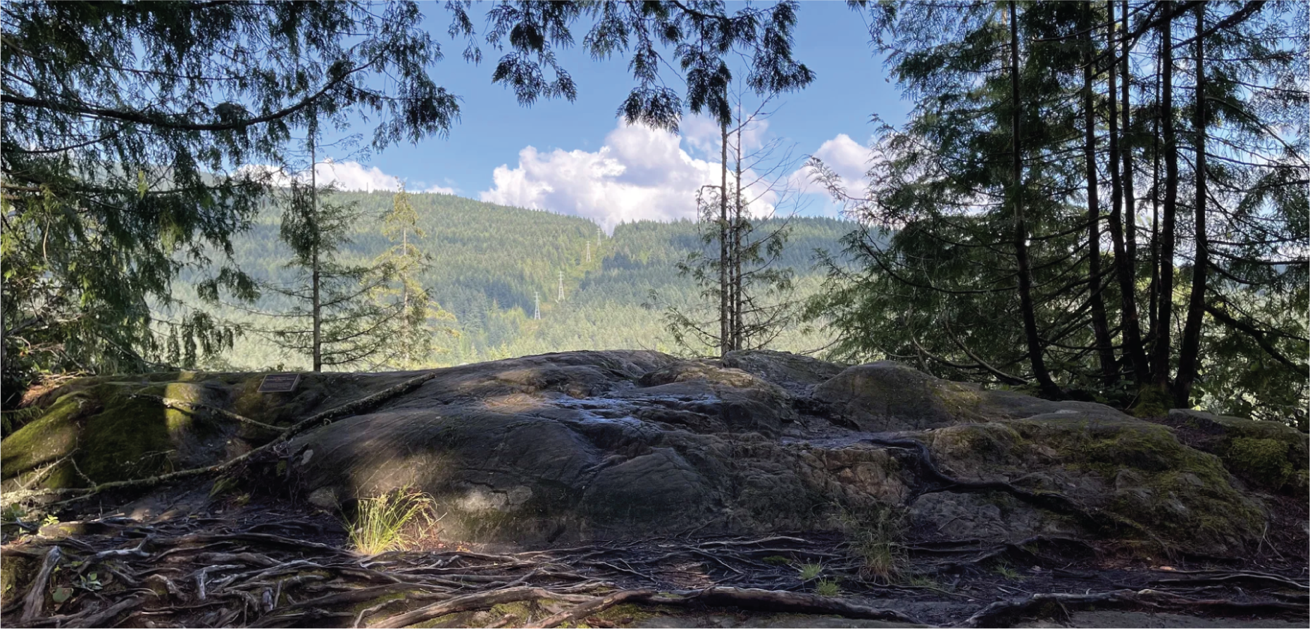 Richard Juryn Trail